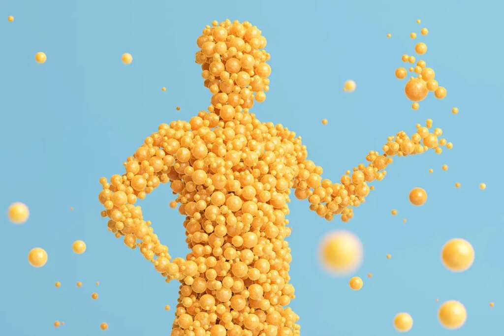 The vital, overlooked role of body fat in shaping your health and mind