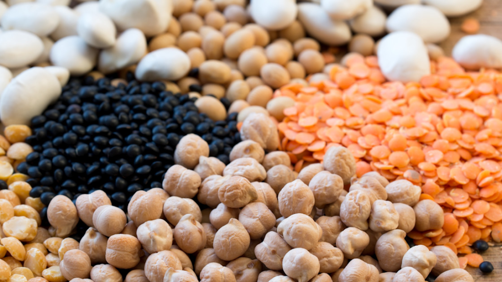 Vegan diet can halve your carbon footprint, study shows